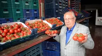Halde domatesin fiyatı düştü, limonun fiyatı arttı