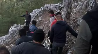 Odun toplamaya gittiği ormanda ölü bulundu
