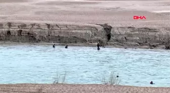 Tunceli'de kayıp uzman çavuş ve Gülistan'dan bugün de iz yok