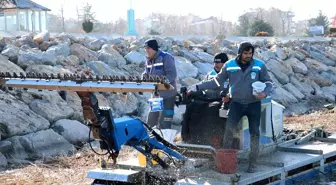 Beyşehir'de sinek ve haşere mücadelesi hız kazandı