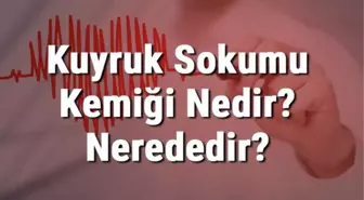 Kuyruk Sokumu Kemiği Nedir? Nerededir? Kuyruk Sokumu Kemiği Ağrısı ve Tedavisi