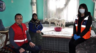 Onun derdi kuzuları