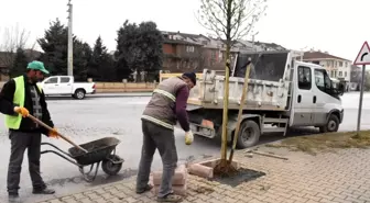 Düzce mis gibi kokacak