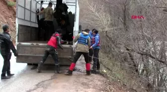 TUNCELİ Uzman Çavuş Güneş ile üniversiteli Gülistan'dan bugün de iz yok