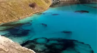 İngiltere'de polis fotoğraf çekenleri durdurmak için gölü siyaha boyadı