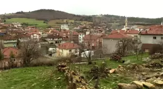 'Kim Milyoner Olmak İster' yarışmacısı Uşaklı koşucu Türkiye'yi gülümsetti