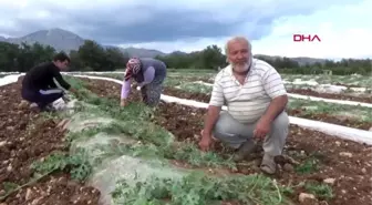 EDİRNE Kuyruklarda bekleyenleri 'Gönüllü tedbir ekibi' uyarıyor