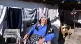 Harabe evi yenilendi, sokağa çıkma yasağından sonra yerleşecek