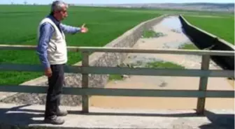 Araban'da yağışlar nedeniyle daha önce kuruyan bazı derelerden su aktı