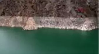 ARTVİN Baraj suları çekildi, köy ortaya çıktı