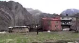 Eski hükümlü devlet desteğiyle sürü sahibi oldu