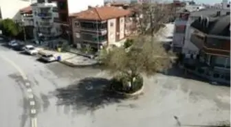 (Özel) Yolun ortasında tek kaldı, görenler şaşkına dönüyor