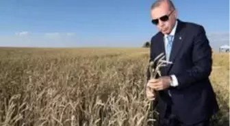 Erdoğan, AK Parti Erzurum İl Başkanı Öz'ün dile getirdiği tohum talebini çözüme kavuşturdu