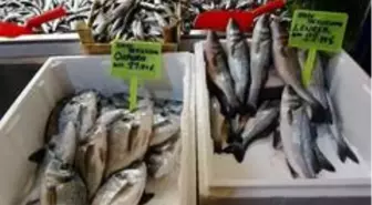 Vatandaş ucuz balık yesin diye fiyatları yarı yarıya düşürdü