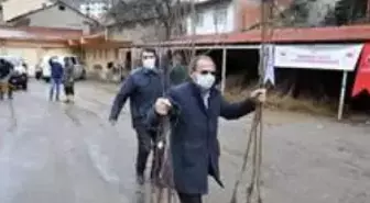 Gümüşhane'de 65 yaş üzeri çiftçilerin fidanları evlerine götürüldü