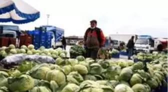 Ürün bolluğu yaşanan Antalya halinden Türkiye'ye sebze meyve sevkıyatı tam gaz devam ediyor