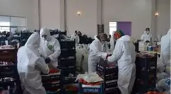 Belediyeden vatandaşlara gıda yardımı