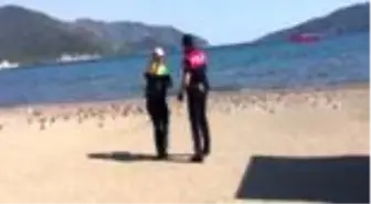 Marmaris'te güvercinleri, polis ekipleri besledi