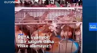 PETA Asya'da hala açık vahşi hayvan pazarları için uyardı: Bir salgın riski daha alamayız | Video