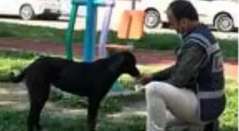 Polis memuru, susayan köpeğe elleriyle su içirdi