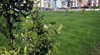 Kepez Belediyesinden, Kuzeyyaka'ya portakal kokulu bahçe