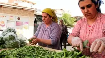 Kaymakçı baklasına Büyükşehir desteği