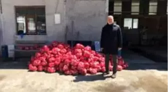 Başkan Ercan kapı kapı gezerek belde halkına patates soğan dağıttı