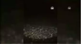 Kaçak avlanan üç kişiye 15 bin 450 lira ceza kesildi