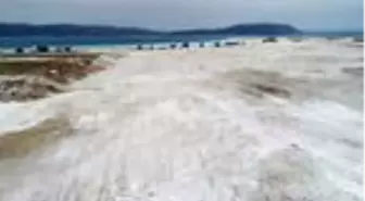 'Salda kumullarında çok değerli mineral var'