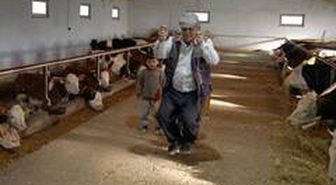 Sokağa çıkamayan dede ve torunları, ahırda salıncak binerek vakit geçiriyor
