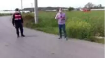 ANTALYA-Jandarma, bukalemun geçene kadar trafiği durdurdu