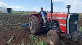 Bismil'de sokağa çıkma kısıtlamasından muaf olan çiftçiler tarlalarında çalıştı