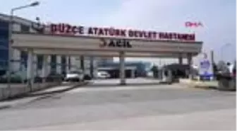 Yabani arıların saldırdığı kadın hastanelik oldu