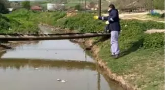 Hayrabolu'da larva ile mücadele çalışması başlatıldı