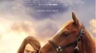 Dream Horse Filmi