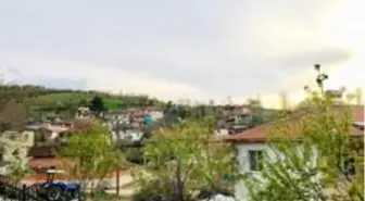 Süt evleri zincirine bir halka daha eklendi