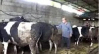 GAZİANTEP İhbarla çağırdığı, veteriner hekimlerin günlerini kutladı