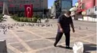 ADANA Boş meydandaki güvercinleri, fırıncı besledi