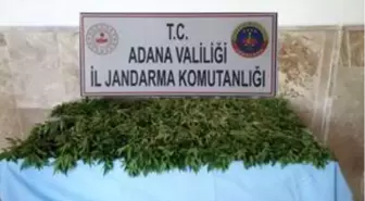 Adana'da uyuşturucu operasyonu