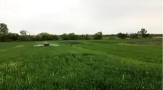 Tarımda yanlış ilaçlama doğadaki arı ve faydalı böcekleri öldürüyor