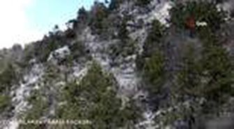 (BURDUR - montaj) -Drone ile görüntülenen yaban keçilerinin görsel şöleni