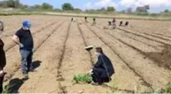 Çanakkale'de tarımsal üretim kesintisiz sürdürülüyor