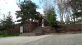 Ahlat'taki Abdurrahman Gazi Türbesi'nde koronavirüs sessizliği