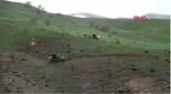 HAKKARİ Pancar toplamaya giden karı koca devrilen traktörün altında kalarak yaralandı