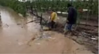 Mersin'de 1 saat yağan dolu afete dönüştü