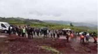 Yarbaşı Belediyesi öğrencilere burs vermek amacıyla zeytin fidesi dikti