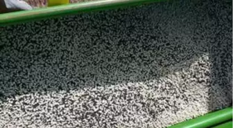 'Bozkırda Tıbbi Aromatik Bitkiler de Yetiştireceğiz' projesi