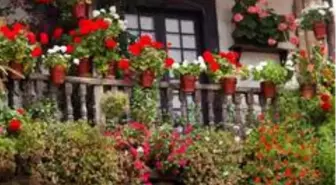 Ankara'da en güzel pencere, balkon ve teraslar yarışma ile belirlenecek