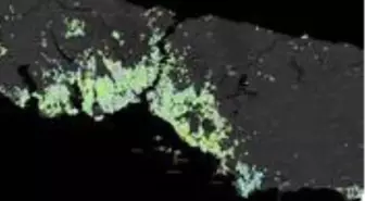 İstanbul'un en güncel koronavirüs haritası: 10 ilçe 49 mahallede yüksek risk var