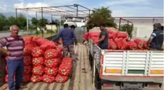 Kuşadası Belediyesi'nden çiftçiye yardım eli